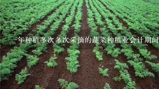 1年种植多次多次采摘的蔬菜种植业会计期间怎么核算