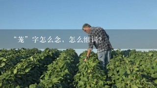 “茏”字怎么念，怎么组词？