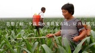 我想了解1个蔬菜水果批发市场。应该从哪几个方面入手？简单描述下情况。我想从蔬菜产地，上菜，然后发到？