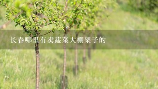 长春哪里有卖蔬菜大棚架子的