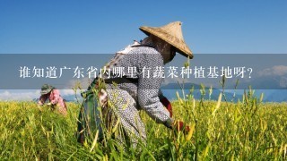 谁知道广东省内哪里有蔬菜种植基地呀？