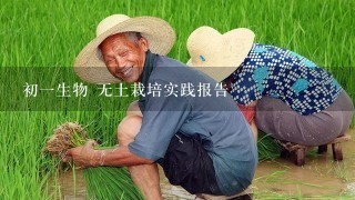 初1生物 无土栽培实践报告