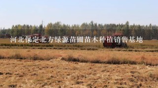 河北保定北方绿源苗圃苗木种植销售基地