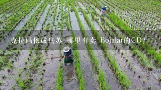 克拉码依或乌苏 哪里有卖 Bojalar的CD?