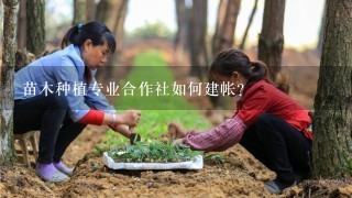 苗木种植专业合作社如何建帐？