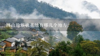 博山猕猴桃基地有哪几个地方