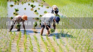 岳阳市兴杨苗木有限公司介绍？