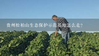 贵州松柏山生态保护示范基地怎么走？