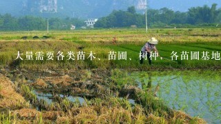 大量需要各类苗木、苗圃、树种，各苗圃基地人请联系