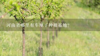 河南省哪里有车厘子种植基地？