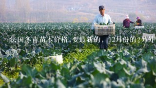 法国冬青苗木价格,要最新的，12月份的?另外什么时候移植比较好?