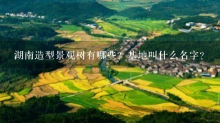 湖南造型景观树有哪些？基地叫什么名字？