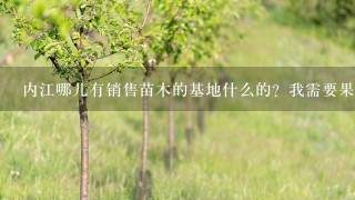 内江哪儿有销售苗木的基地什么的？我需要果树苗和桂花等苗子。