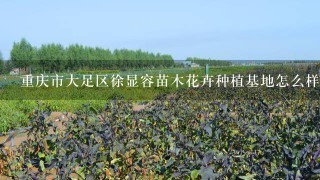 重庆市大足区徐显容苗木花卉种植基地怎么样？