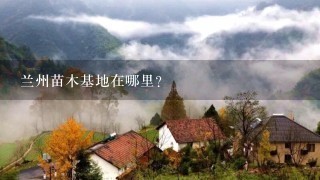 兰州苗木基地在哪里?