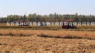 东营市河口区鲁东生物工程有限责任公司介绍？