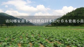 请问哪家苗木公司供应日本红叶乔木紫薇小苗，要正规的苗木公司，谢谢！