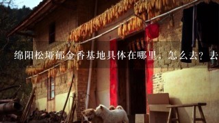 绵阳松垭郁金香基地具体在哪里，怎么去？去耍的话，要备些什么？谢谢？