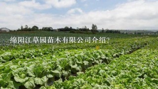 绵阳江草园苗木有限公司介绍？