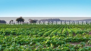 我想请问1下，我在建立苗圃基地的初期我可以种植什么类型的树苗？