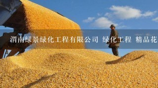 渭南绿景绿化工程有限公司 绿化工程 精品花卉 园林设计 绿植盆景 苗木养护 花卉租摆 非诚勿扰