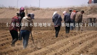 仁寿花草苗木基地地址<br/>1、基地概述位于4川仁寿的花草苗木基地，占地面积达