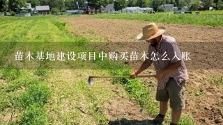 苗木基地建设项目中购买苗木怎么入账