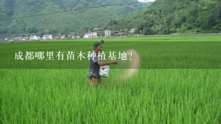 成都哪里有苗木种植基地？