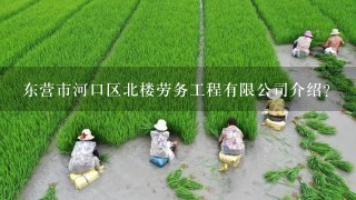 东营市河口区北楼劳务工程有限公司介绍？