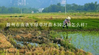 滁州市南谯军绿草坪苗木园艺场怎么样？