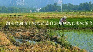 湖南省湘西土家族苗族自治州凤凰县廖家桥乡邮编是什么?