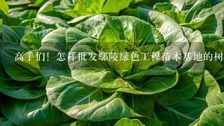 高手们！怎样批发鄢陵绿色工程苗木基地的树苗？