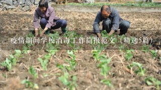 疫情期间学校消毒工作简报范文（精选5篇）