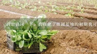 我想请问1下，我在建立苗圃基地的初期我可以种植什么类型的树苗？