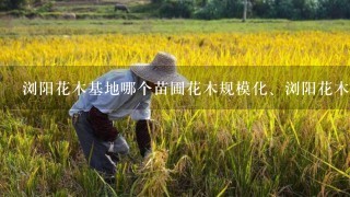 浏阳花木基地哪个苗圃花木规模化、浏阳花木基地哪个苗圃的花木标准化!