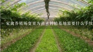 家禽养殖场变更为苗木种植基地需要什么手续