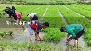 蜀山湖水面面积？