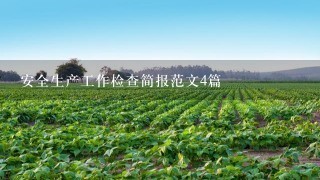 安全生产工作检查简报范文4篇