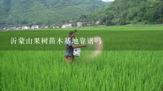 沂蒙山果树苗木基地靠谱吗