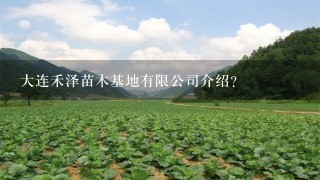 大连禾泽苗木基地有限公司介绍？