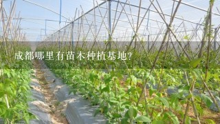 成都哪里有苗木种植基地？