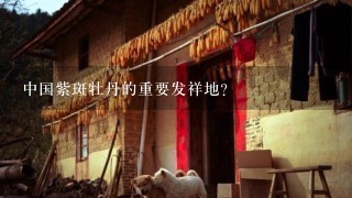 中国紫斑牡丹的重要发祥地？