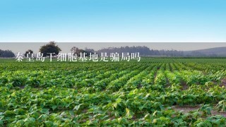 秦皇岛干细胞基地是骗局吗