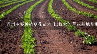 青州主要种植草花苗木 比较大的草花基地是那些啊