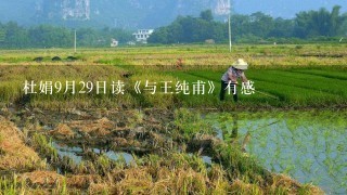 杜娟9月29日读《与王纯甫》有感