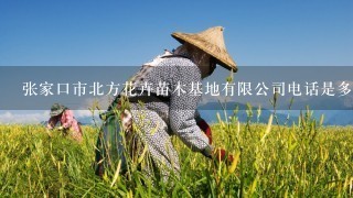 张家口市北方花卉苗木基地有限公司电话是多少？