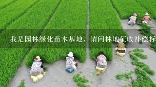 我是园林绿化苗木基地，请问林地征收补偿标准按什么评估？谢谢！