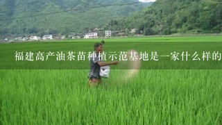 福建高产油茶苗种植示范基地是1家什么样的单位？主要是做什么的？听说是国内最专业的油茶苗繁育基地是不是？