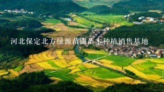 河北保定北方绿源苗圃苗木种植销售基地