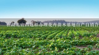 在湖北宜昌这样办理花卉苗木基地自产自销合格证